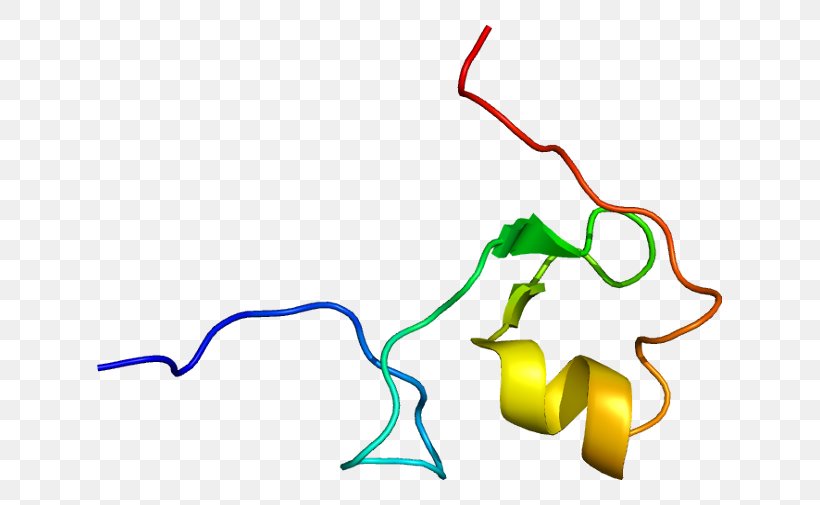 MID1 Ring Finger Protein 5 Pseudogene 1 Ring Finger Protein 5 Pseudogene 1 RNF5P1, PNG, 675x505px, Watercolor, Cartoon, Flower, Frame, Heart Download Free