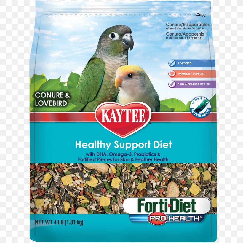 Parrot Lovebird Bird Food Cockatiel, PNG, 1500x1500px, Parrot, Beak, Bird, Bird Food, Bird Supply Download Free