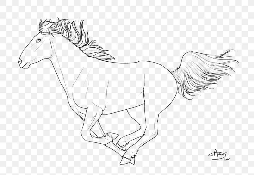 Arabian Horse Friesian Horse Howrse Pony Line Art, PNG, 800x565px, Arabian Horse, Animal Figure, Artwork, Black And White, Bridle Download Free