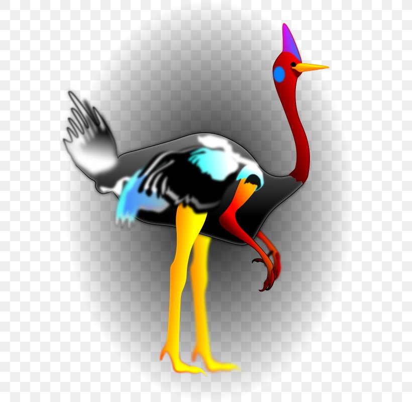 Bird Beak Clip Art, PNG, 590x800px, Bird, Anatidae, Art, Beak, Cassowary Download Free