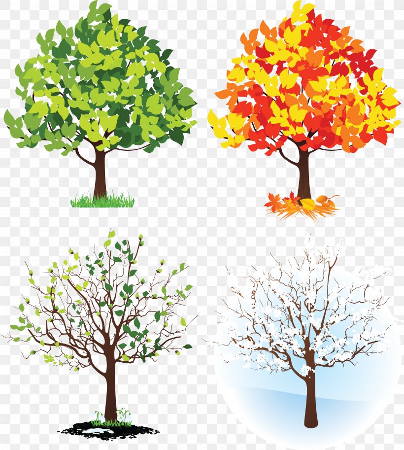 Four Seasons Hotels And Resorts Tree Clip Art, PNG, 5931x6610px, Four Seasons Hotels And Resorts, Autumn, Branch, Cdr, Flower Download Free