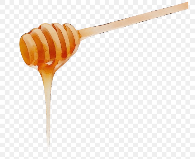 Honey Food Cuisine Spoon, PNG, 764x669px, Watercolor, Cuisine, Food, Honey, Paint Download Free