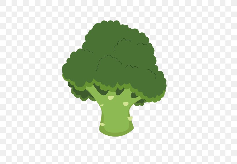 Cauliflower Broccoli Vegetarian Cuisine Green, PNG, 568x568px, Cauliflower, Animation, Brassica Oleracea, Broccoflower, Broccoli Download Free