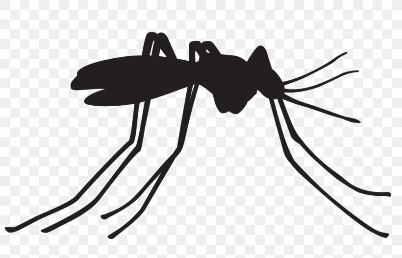 Dengue Fever Vector Mosquito Control Malaria Mosquito-borne Disease, PNG, 1033x664px, Dengue Fever, Ant, Arthropod, Black And White, Dengue Virus Download Free