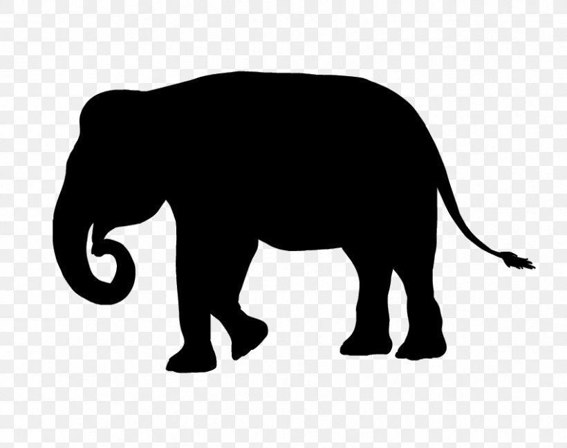 Indian Elephant African Elephant Cat Wildlife Terrestrial Animal, PNG, 849x671px, Indian Elephant, African Elephant, Animal, Animal Figure, Big Cat Download Free