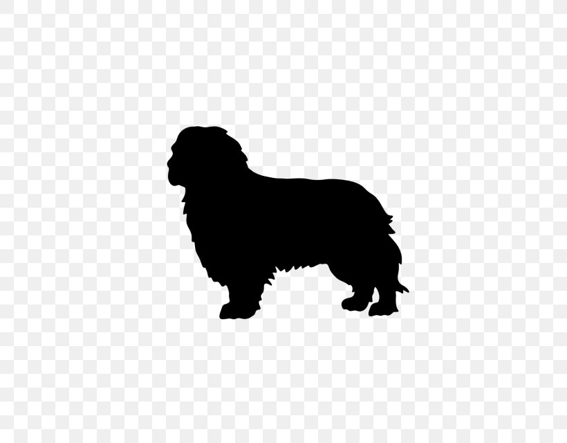 Newfoundland Dog Puppy Cavalier King Charles Spaniel Dog Breed, PNG, 640x640px, Newfoundland Dog, Black, Breed, Breed Group Dog, Carnivoran Download Free