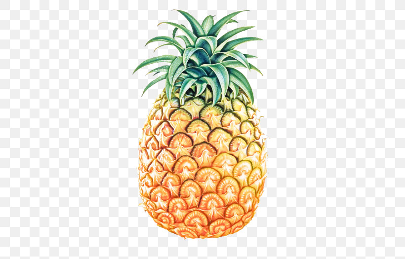 Pineapple, PNG, 700x525px, Pineapple, Accessory Fruit, Ananas, Food, Fruit Download Free