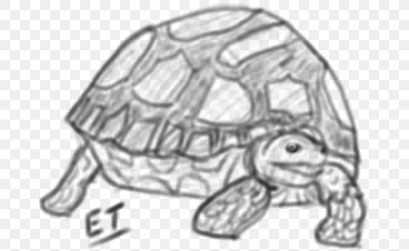 Tortoise Turtle Drawing 0 Sketch, PNG, 663x504px, 2017, 2018, Tortoise, Artwork, Auto Part Download Free
