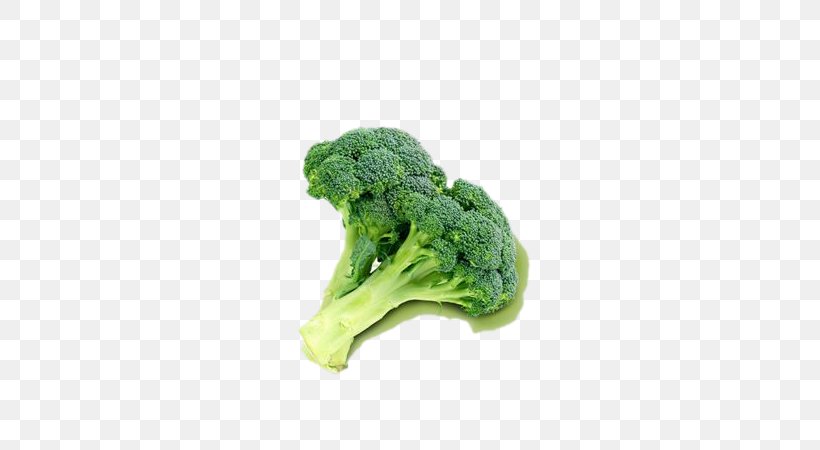 Broccoli Cauliflower Vegetable Food Masterfile Corporation, PNG, 600x450px, Broccoli, Brassica Oleracea, Brussels Sprout, Cauliflower, Cruciferous Vegetables Download Free