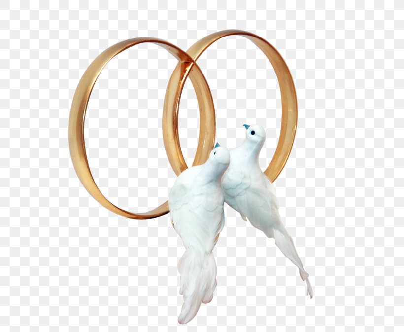 Marriage Map Bridegroom Ring Clip Art, PNG, 600x673px, Marriage, Beak, Bird, Blog, Body Jewelry Download Free