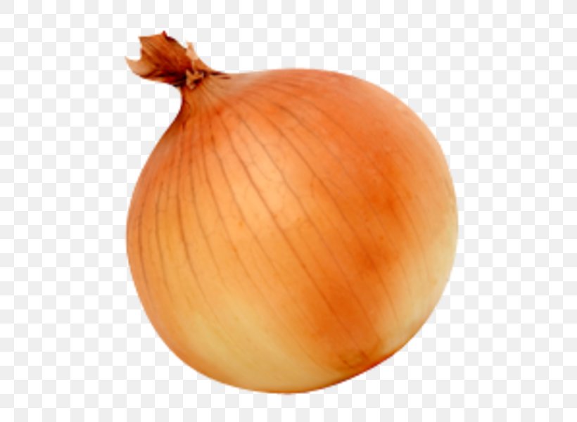 White Onion Yellow Onion Vegetable, PNG, 600x600px, White Onion, Food, Garlic, Ingredient, Leek Download Free