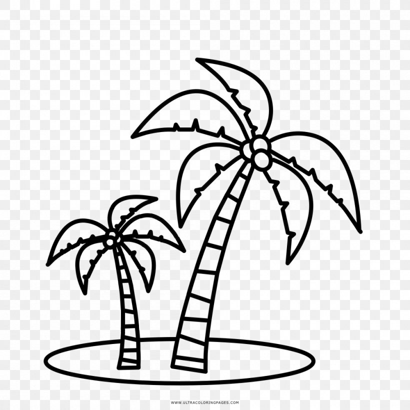 Coloring Book Arecaceae Drawing Child Number, PNG, 1000x1000px ...