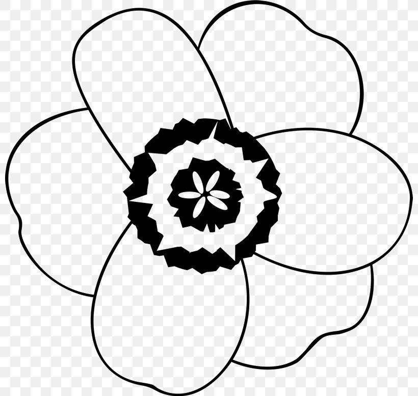 Flower Line Art, PNG, 800x777px, Drawing, Blackandwhite, Coloring Book, Floral Design, Flower Download Free