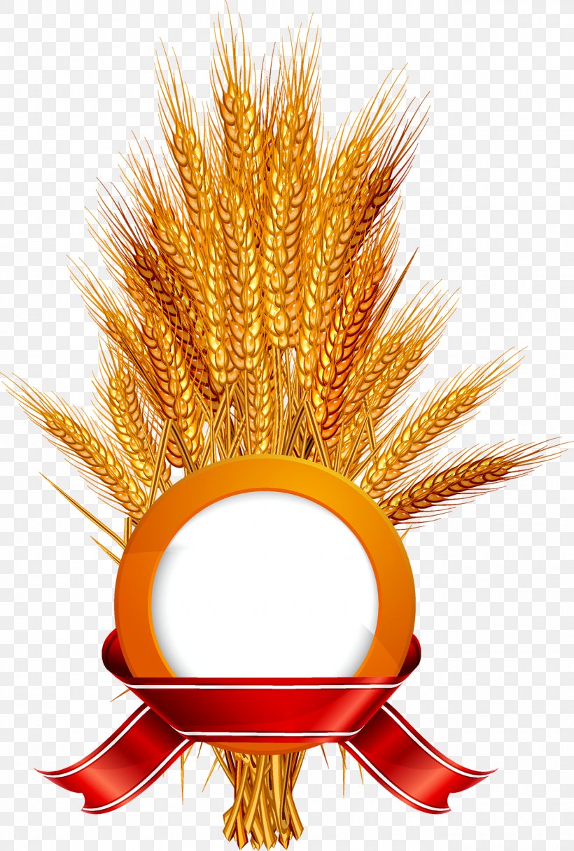 Wheat Label Ear Illustration, PNG, 1300x1929px, Common Wheat, Cereal, Commodity, Ear, Gluten Free Diet Download Free