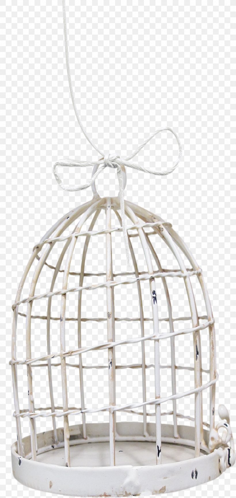 Cage Bird Product Design Highway M06 Painting, PNG, 950x2000px, Cage, Bird, Highway M06, Lighting, Painting Download Free