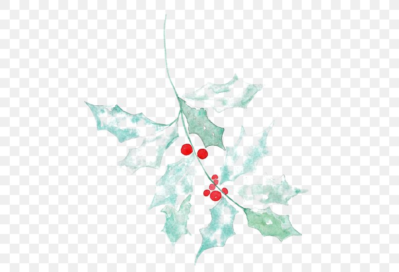 Holly Plant Child Tree Petal, PNG, 500x558px, Holly, Aquifoliaceae, Aquifoliales, Branch, Child Download Free