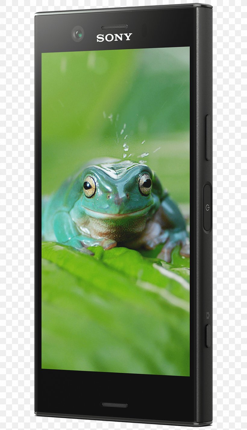 Sony Xperia XZ1 Sony Xperia X Compact Smartphone 索尼 19 Mp, PNG, 880x1530px, 32 Gb, Sony Xperia Xz1, Amphibian, Communication Device, Compact Download Free