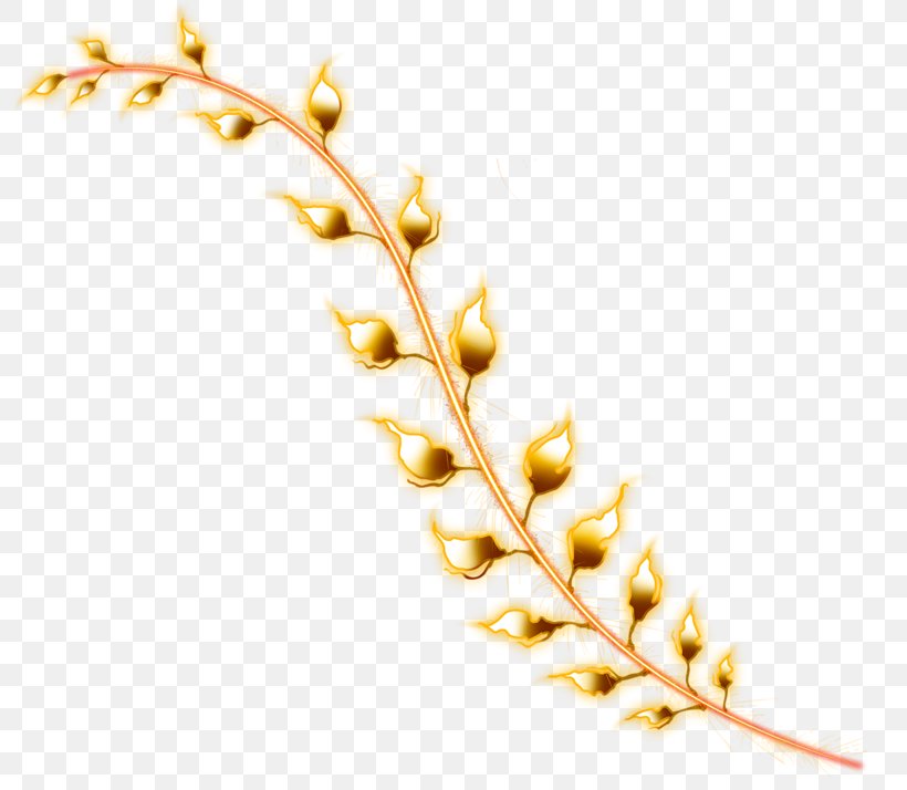 Vignette Photography Clip Art, PNG, 800x714px, Vignette, Branch, Commodity, Grass Family, Ornament Download Free