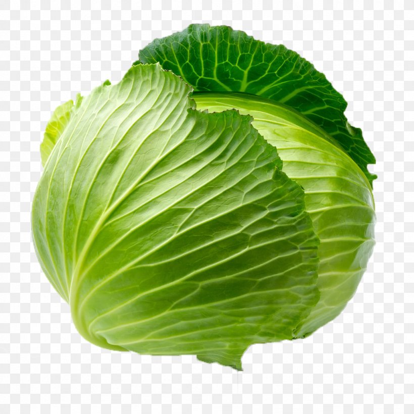 Cabbage Leaf Vegetable Blanching, PNG, 1024x1024px, Cabbage, Blanching, Cauliflower, Chinese Cabbage, Collard Greens Download Free