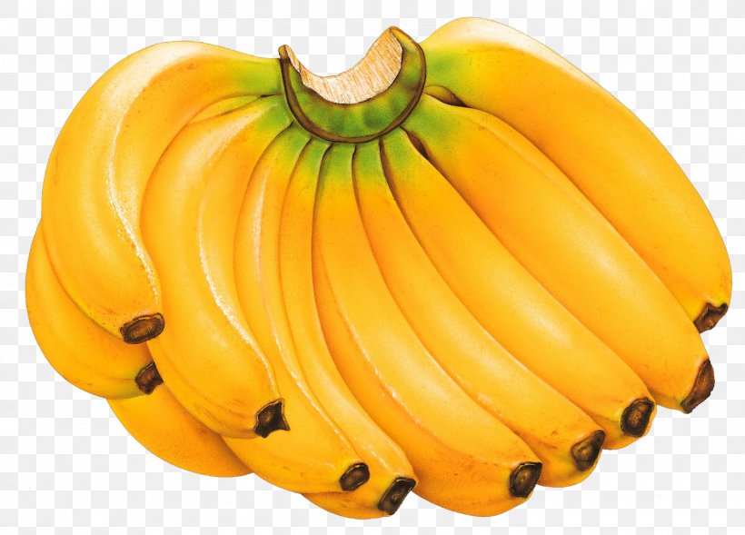 Cartoon Banana, PNG, 1600x1150px, Banana, Banana Family, Calabaza, Cavendish Banana, Cooking Banana Download Free