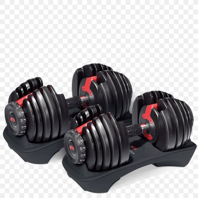 Dumbbell Bowflex Weight Training Strength Training Physical Exercise, PNG, 1024x1024px, Dumbbell, Automotive Tire, Bench, Bowflex, Crossfit Download Free
