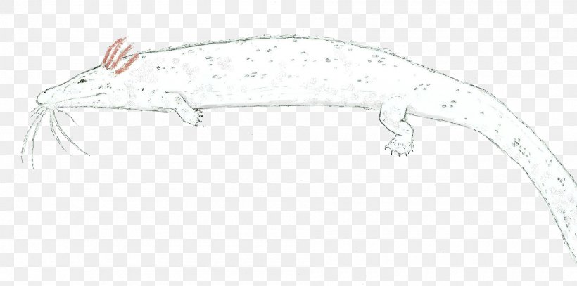 Lizard Line Art, PNG, 1900x944px, Lizard, Animal Figure, Artwork, Line Art, Rat Download Free