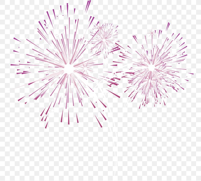 Fireworks Purple, PNG, 761x741px, Fireworks, Color, Fire, Firecracker, Flower Download Free