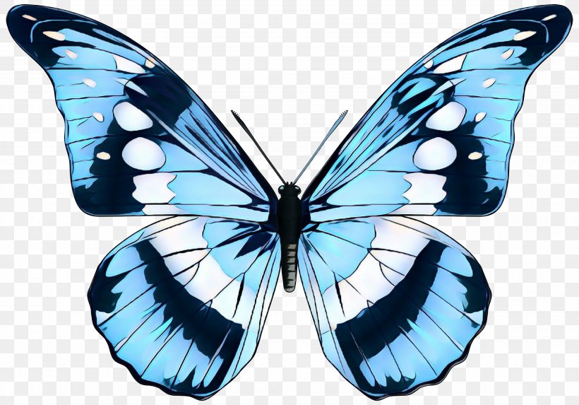 Monarch Butterfly Gossamer-winged Butterflies Brush-footed Butterflies Pieridae Moth, PNG, 3500x2446px, Monarch Butterfly, Apatura, Arthropod, Brushfooted Butterflies, Brushfooted Butterfly Download Free
