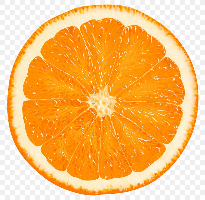 Orange Slice Tangerine Clip Art Citrus × Sinensis, PNG, 800x800px, Orange, Bitter Orange, Citric Acid, Citrus, Citrus Sinensis Download Free