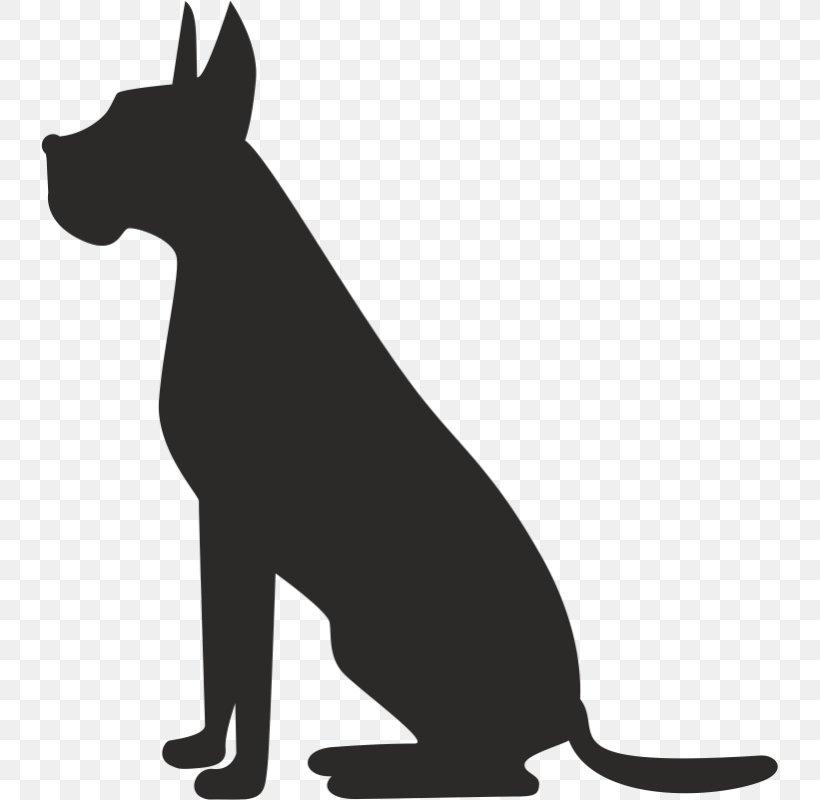 Pet Sitting Dog Grooming Cat, PNG, 800x800px, Pet Sitting, Animal Rescue Group, Black, Black And White, Carnivoran Download Free