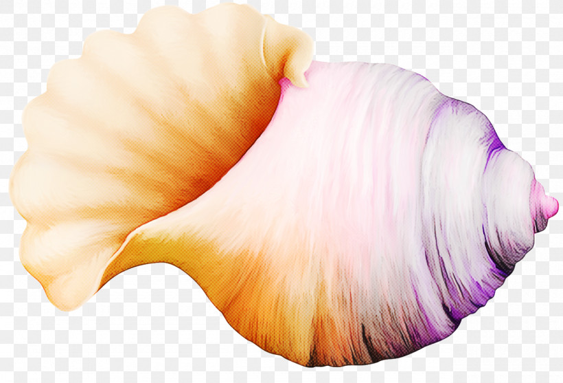 Pink Shankha Conch, PNG, 1280x870px, Pink, Conch, Shankha Download Free