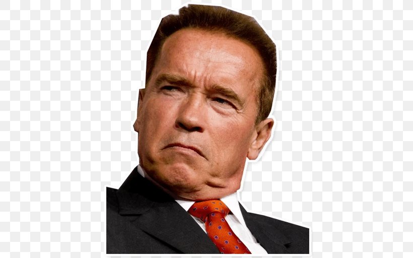 Arnold Schwarzenegger The Terminator T-1000 Actor, PNG, 512x512px, Arnold Schwarzenegger, Actor, Apprentice, Businessperson, Chin Download Free