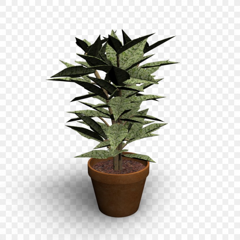 Houseplant Flowerpot Room Ornamental Plant, PNG, 1000x1000px, Houseplant, Bedroom, Evergreen, Floor, Floor Plan Download Free