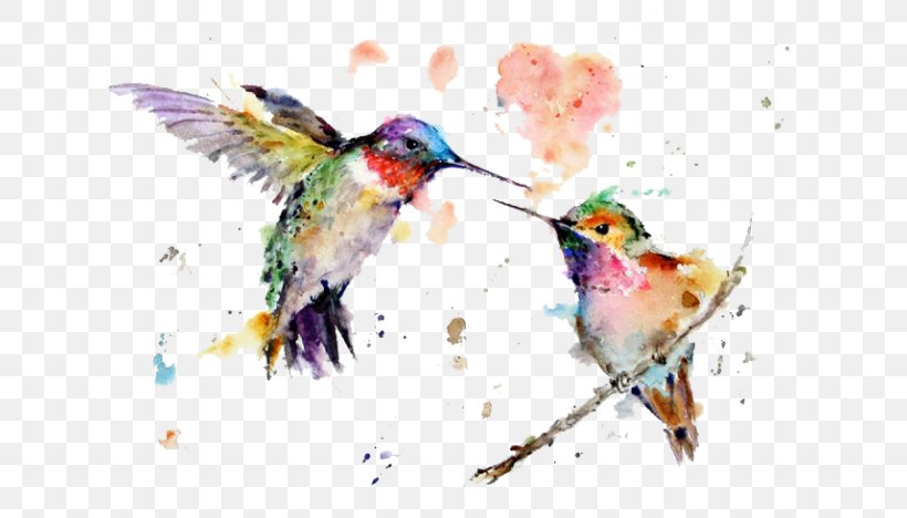 Hummingbird Watercolor Painting Art Drawing, PNG, 700x468px, Hummingbird, Art, Beak, Bird, Canvas Download Free