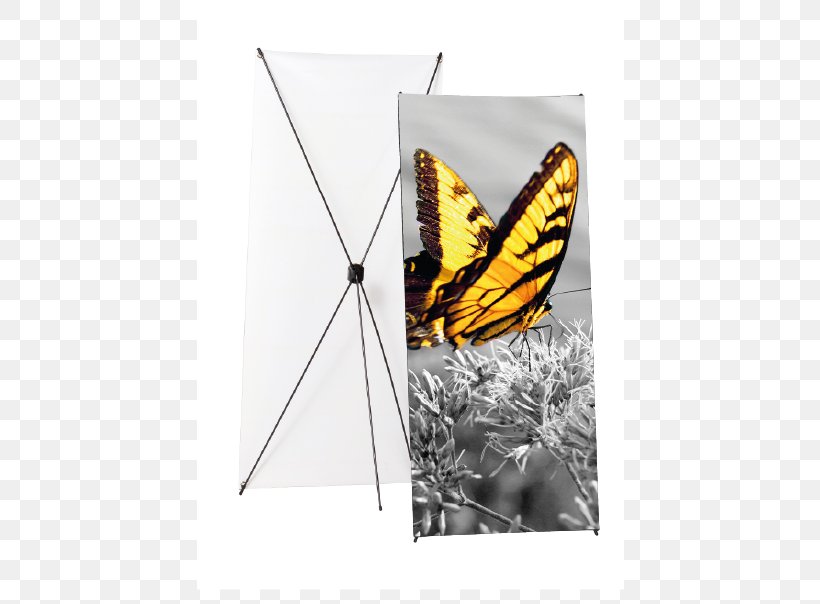 Monarch Butterfly Web Banner Brush-footed Butterflies Advertising, PNG, 543x604px, Monarch Butterfly, Advertising, Banner, Brush Footed Butterfly, Brushfooted Butterflies Download Free