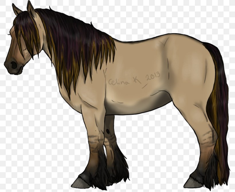 Mustang Foal Stallion Mare Colt, PNG, 800x669px, Mustang, Bridle, Colt, Foal, Halter Download Free