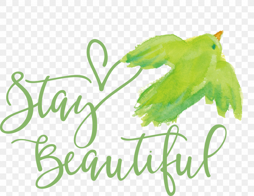 Stay Beautiful Fashion, PNG, 3000x2317px, Stay Beautiful, Fashion, Silhouette, Typography Download Free