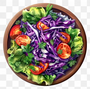 Coleslaw Salad - Colorful Fresh Salad Bowl PNG