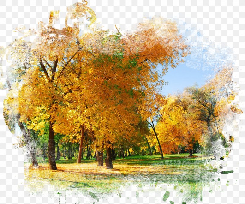 Desktop Wallpaper High-definition Television High-definition Video 1080p Computer, PNG, 1280x1067px, 4k Resolution, Highdefinition Television, Autumn, Branch, Computer Download Free