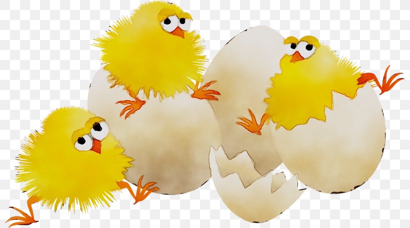 Easter Clip Art Image Centerblog, PNG, 800x457px, Easter, Animal Figure, Animation, Beak, Bird Download Free