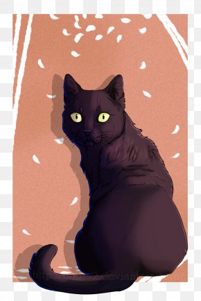 Kitten - Havana Brown Black Cat Kitten Whiskers Domestic Short-haired Cat PNG