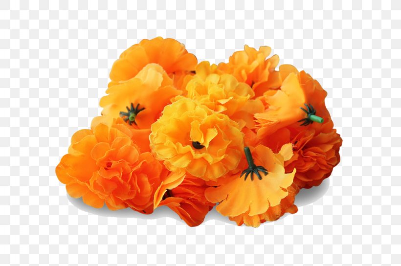 Mexican Marigold Desktop Wallpaper Clip Art, PNG, 1024x680px, Mexican Marigold, Calendula Officinalis, Cut Flowers, Display Resolution, Flower Download Free
