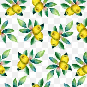 Painted Olive Shading - Olive Oil Vegetable Drawing Illustration PNG