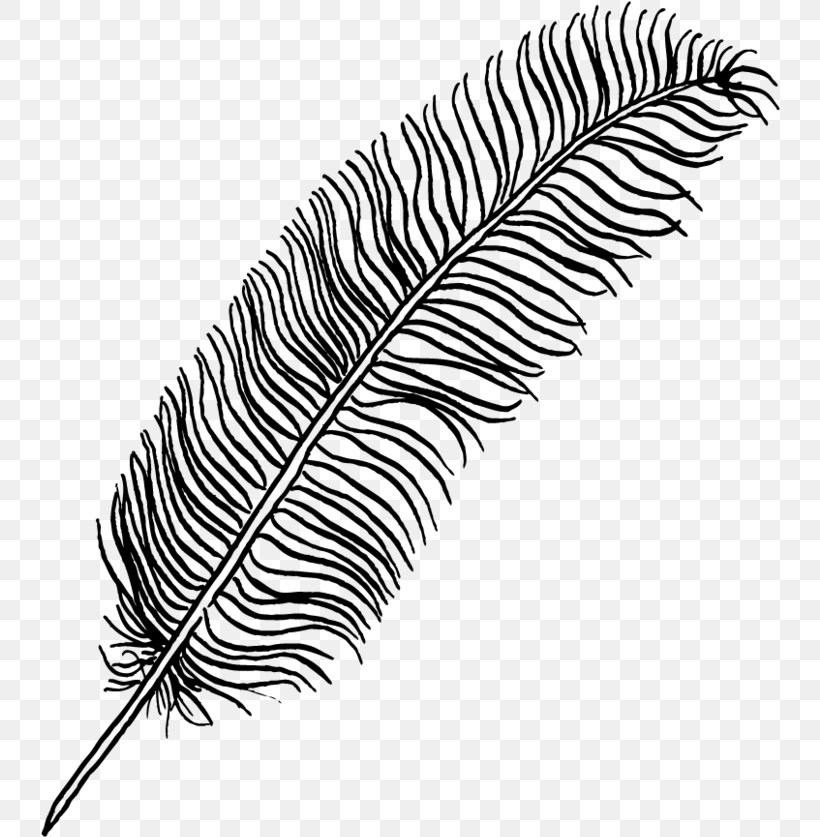 Tree Drawing, PNG, 740x837px, Drawing, Artists Portfolio, Eye, Eyelash, Feather Download Free