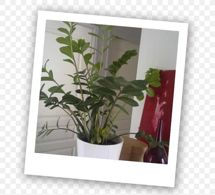 Window Flowerpot Leaf Houseplant Herb, PNG, 701x743px, Window, Flora, Flower, Flowerpot, Herb Download Free