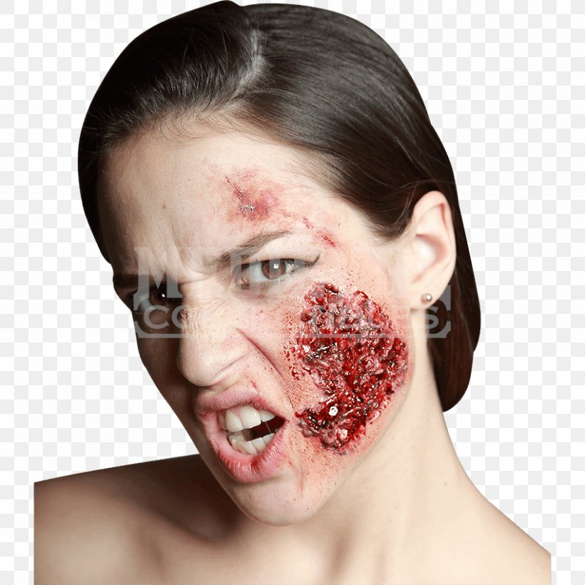 Cheek Make-up Nose Wound Lip, PNG, 850x850px, Cheek, Blood, Carnival, Chin, Costume Download Free