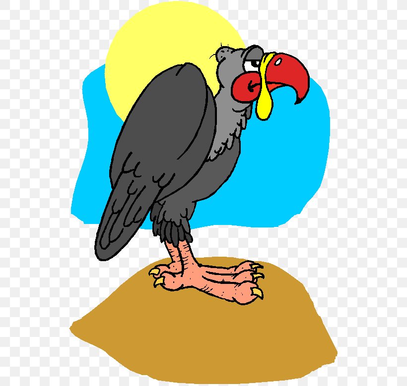 Eagle Bird, PNG, 542x779px, Vulture, Andean Condor, Animal, Bald Eagle, Beak Download Free