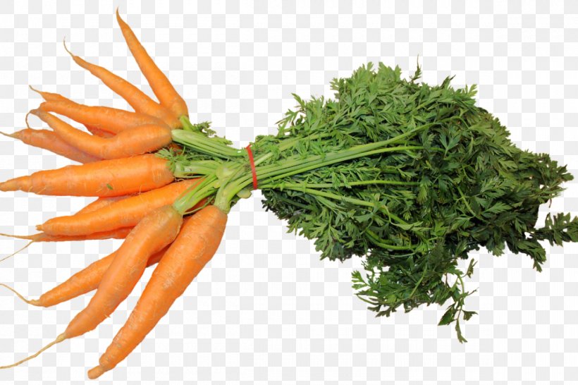 Food Vegetable Vegetarian Cuisine Veganism, PNG, 1200x800px, Food, Carrot, Cooking, Diet, Eating Download Free