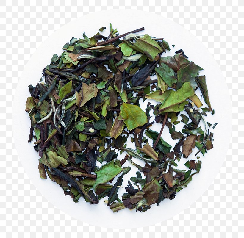 Nilgiri Tea Tieguanyin Vegetarian Cuisine The 6 Tea, PNG, 800x800px, 6 Tea, Nilgiri Tea, Bai Mudan, Bancha, Blueberry Download Free