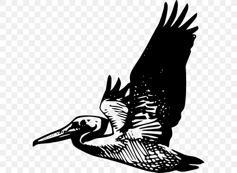 Pelican Bird Silhouette Clip Art, PNG, 594x600px, Pelican, Art, Beak, Bird, Bird Flight Download Free